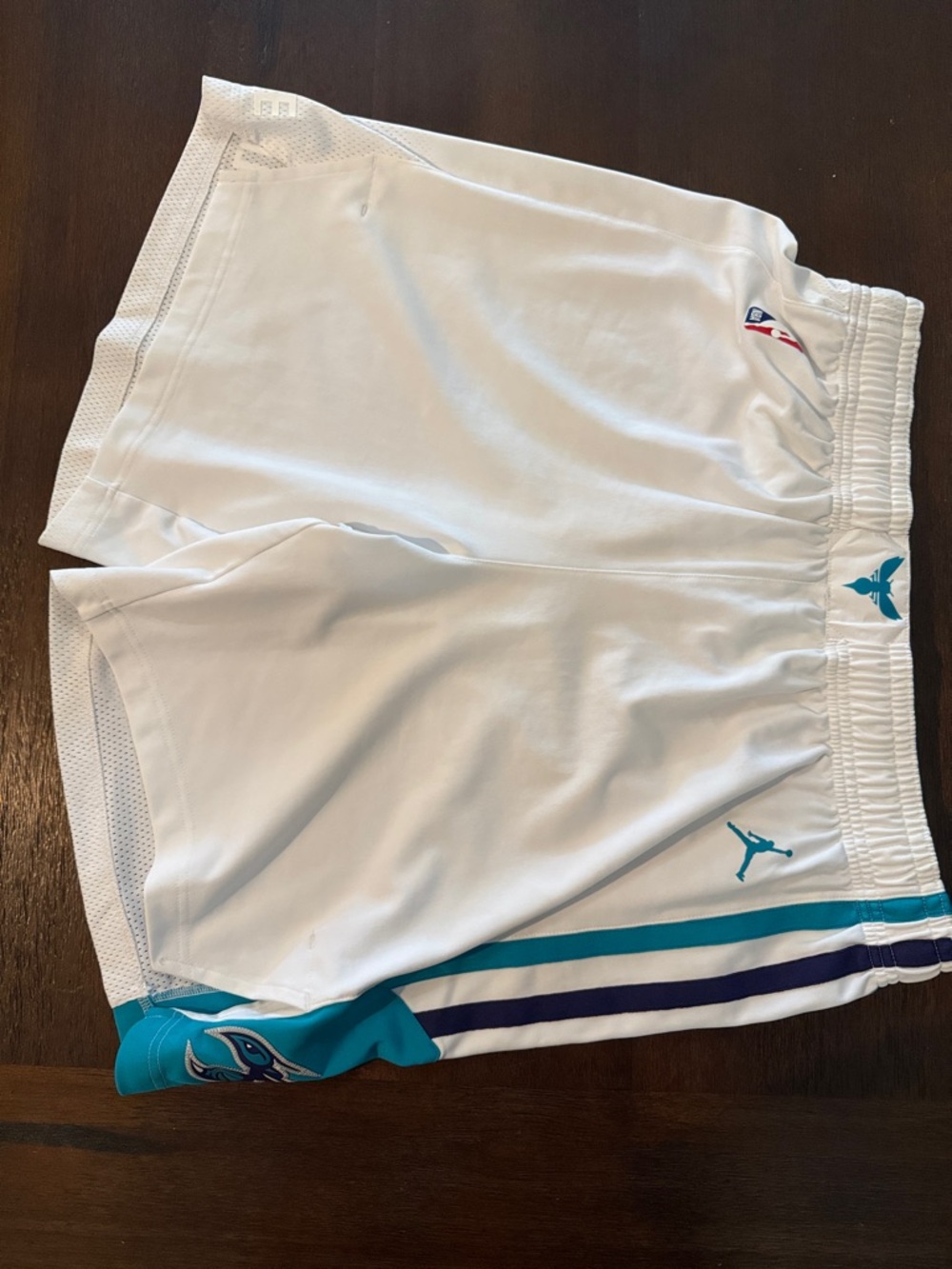 Jordan Charlotte Hornets On Court Player Shorts Nike 44 Pro Cut Game - Picture 3 of 13